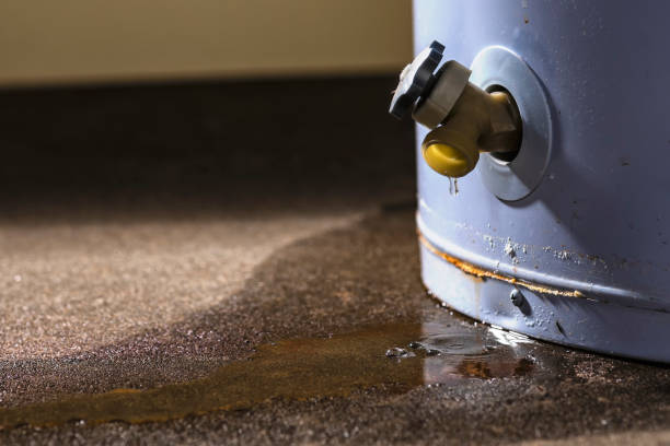 Best Flood damage cleanup  in Millville, NJ