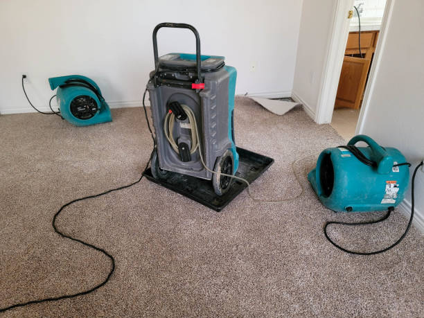 Best Sewage cleanup and water damage restoration  in Millville, NJ