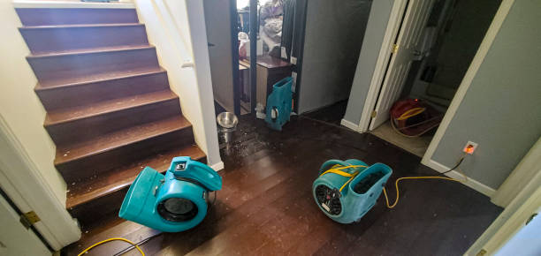 Best Commercial water damage restoration  in Millville, NJ