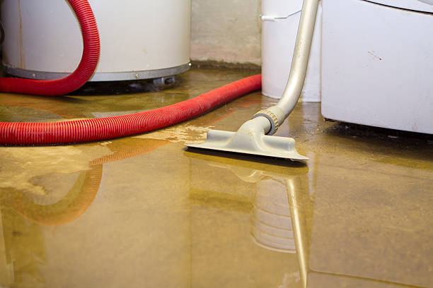 Best Water damage restoration cost  in Millville, NJ