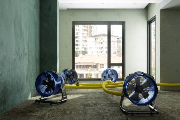 Best Basement water damage restoration  in Millville, NJ